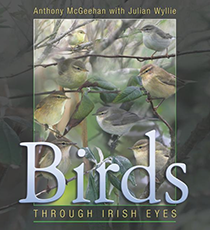Birds through Irish eyes